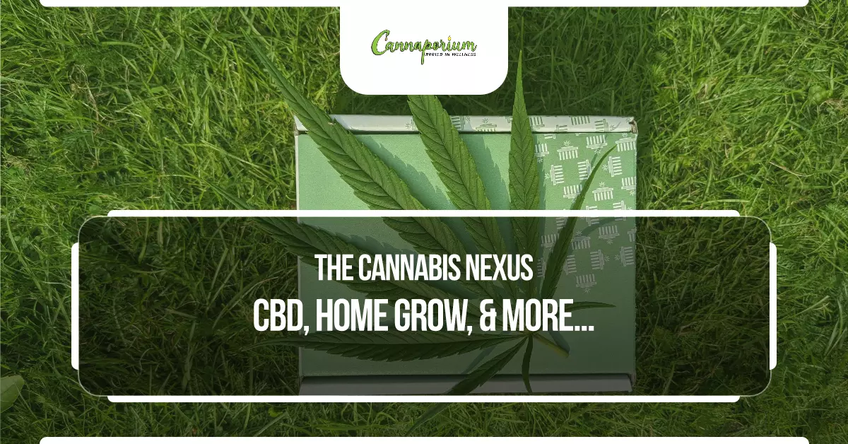 Cannaporium - Cannabis Store Online
